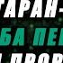 Просьба Передать Салам Пророку ﷺ Абу Зайд