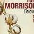 Unraveling The Secrets Of Beloved A Captivating Look Into Toni Morrison S Literary Masterpiece