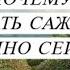 Не бойтесь сейчас сажать саженцы Вот почему я решила посадить яблони именно осенью