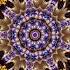 The Splendor Of Flowers Kaleidoscope Video Beta V1 75 Minutes Of Peace A Jubilee For All Nations