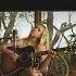 Billie Marten OurVinyl Sessions
