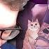 SODA LUV КОТЬ КОТЬ РЕАКЦИЯ ОБЗОР СИЛЯ БЕДНЫЕ КОТИКИ