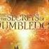 Fantastic Beasts The Secrets Of Dumbledore Soundtrack Same Blood