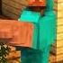 Тренболон колю Minecraft Shorts