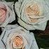 Enchantment Chris Spheeris Relaxing Music 2 New Age Music