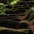 Aphex Twin Stone In Focus 300 Slowed Ambient