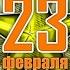 VLOG Утренник к 23 февраля в саду 134 поздравляем мальчиков и Пап с праздником