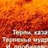 Валерий Горбачёв ТЕРПИ КАЗАЧЕ