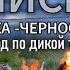 ЕНИСЕЙ Бакланиха Черноостровск Переход 4 5 дней по дикой тайге 2 часть