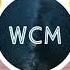 Max Barskih Nesluchayno No Copyright Music