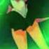 Sailor Jupiter S Transformations Attacks Englsih