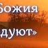 Осипов А И Блудники малакии грешащие онанизмом Царства Божия не наследуют 1 Кор 6 9 10