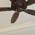 Five Blade Fancy Fan Remote Control AC DC