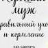 Лора Шлессингер Хороший муж правильный уход и кормление Как сделать брак гармоничным и счастливым