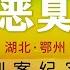 湖北省鄂州市 床底下的惡臭 全集 恐怖 大案紀實 懸疑推理 真人真事 普法小劇場