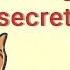 The King S Secret Learn English US With Subtitles Story For Children BookBox Com