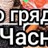 Підготовка грядки під озимий часник та цибулю