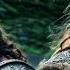 Crusader Kings III ВОЕННОЕ ДЕЛО 27 прохождение 2023