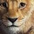 Mufasa The Lion King Муфаса Король Лев Трейлер 2024