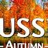 Russia 4K UHD Autumn Aerial Film Scenic Fall Landscapes With Calming Music 4K 60fps Ultra HD