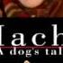 Hachi A Dog S Tale Jan A P Kaczmarek Goodbye