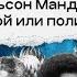 О чём умолчал в своей автобиографии легендарный борец за права Мандела Долгая дорога к свободе