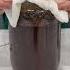 How To Make Cold Brew With A Mason Jar