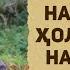 Намози қаср ҳоло ба сафар набаромада