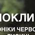 КНИЖКОВЕ ОБГОВОРЕННЯ Хроніки червоних лисиць Книга яка заполонила наші серця