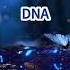 DNA BTS Karaoke