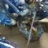 1 In 2 Million Rare Blue Lobster Caught Off Maine Coast