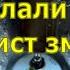 Через Буковину проклали шлях таксист змінив їхні плани