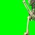 Green Screen Skeleton Skeleton Rises From Grave