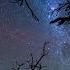 ETNICA Triptonite Ethilic Eden Mix By AES DANA NOVA