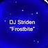 DJ Striden Frostbite Melodic EDM