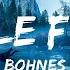 Bohnes Middle Finger Lyrics Best Songs