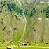 Amazing Grass Field Mountains Trending Nature Explore Subscribe Shorts Vlogwithanmol