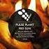 Pulse Plant Red Sun Tony Romanello Remix