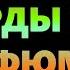 Ноты в Парфюмерии Аккорды в Аромате Парфюмерия