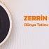 Zerrin Özer Dünya Tatlısı Dans Remix Official Audio Video