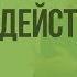 Вводный урок по теме Взаимодействие тел Видеоурок по физике 7 класс