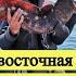 Дальневосточная зубатка Живая камнедробилка Bering Wolffish