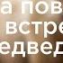 Школа безопасного туризма правила поведения при встрече с медведем