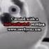 Gummy Bear Kumi Song In G Major 4 Reupload Screen Recorded