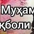 Ё Раб Ту ба Иқболи ҳақират назаре кун Ӯро зи раҳу роҳи шариъат хабаре кун Муҳаммад Иқболи Лоҳурӣ