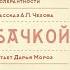 Внеклассные чтения Дама с собачкой Антона Чехова Дарья Мороз