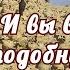 Почему люди верят в кровожадность И В Сталина