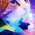 Здравствуй опа новый год Funny Cats Kotomafiya мяу Memes FunnyCats