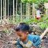 The Single Mother Takes Care Of Her Children While Selling Vegetables And Gardening