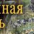 Подаренная жизнь